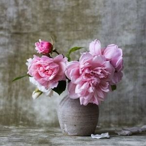 Meet your Posher, June